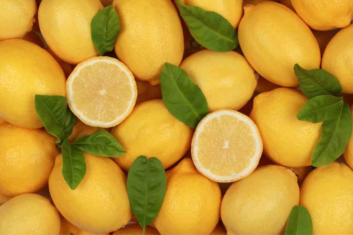 Limoni dannosi, come riconoscerli 