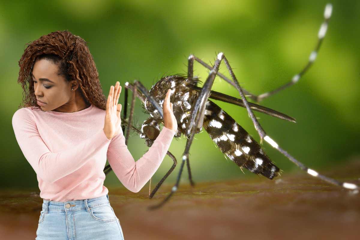 Premuniamoci per l'invasione delle zanzare in estate